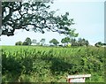 Farmland at the junction of Leeke Road and Priestland Road