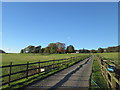 Lane to Thurcroft Hall