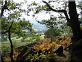 Tanat Valley near Llangynog