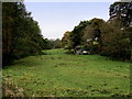 Pasture beside Cow House Beck