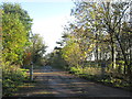 Lane to Park Cottages