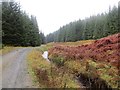 NS5098 : Logging road, Loch Ard Forest by Richard Webb