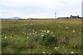 Low lying boggy land near The Refuge