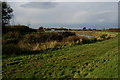 The riverside path along the River Hull