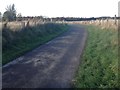 Minor road near Mains of Mulben