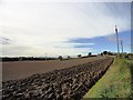 NZ4245 : Fields east of Hawthorn village by Robert Graham