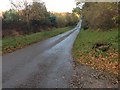 Minor road near Fochabers