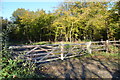 Gated Access to Nackholt Wood