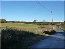 SE4433 : Farm track and public footpath, Micklefield by Christine Johnstone
