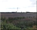 Communications mast near Climbing Tree Farm