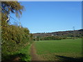 Maidstone Centenary Walk leaving Eccles