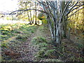 Footpath heading towards Cadole Road