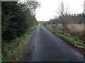 Minor road past Longmoor Wood