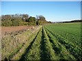 Farm track going east from Hartly Wood cottages