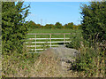 Granite boulder and gate