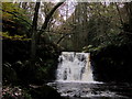 Waterfall in Goitstock Wood