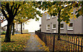 Autumn trees and leaves, Fortwilliam, Belfast