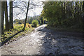 TR1046 : Bend in lane through Doves Wood by Julian P Guffogg