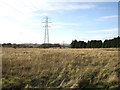 Farmland and pylons, Foggieton