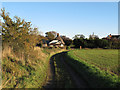 Track to Maples Cottage, Great Dunmow