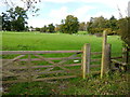 Footpath through Redenham Park