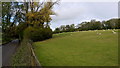 Sheep pasture and woodland