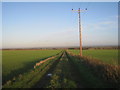 The bridleway near Cliff Farm