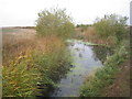 Pond on former slag bank