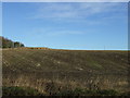 Farmland, Netherton of Lethenty