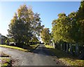 Arkleston Cemetery