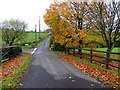 Autumnal along Tamlaght Road