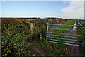 Abbots Lane, Willerby, East Yorkshire