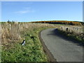 A bend in the minor road heading east 