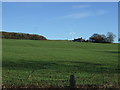 Farmland, Jackstown