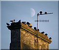 J5082 : Chimney, Bangor by Rossographer