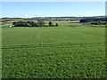 Farmland towards Little Pitinnan