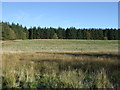 Farmland and woodland off the A920