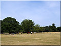 Rounders on the heath