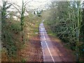 Cycleway, Exmouth