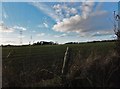 Farmland south of Wrea Green