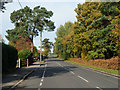 Hogmoor Road