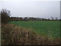 NO8069 : Farmland near Benholm by JThomas