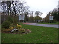 Road towards Johnshaven