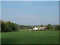 Bungalows on Wild Forest Close viewed from Middle Tollymore Road