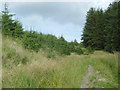 SN8257 : Forestry track  on Esgair Cloddiad, Powys by Roger  Kidd
