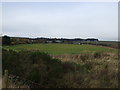 Farmland near St Cyrus