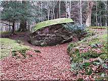 J3432 : The Big Stone on the banks of the Shimna by Eric Jones