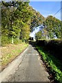 Looking up Coombe from near Combe Manor Farm