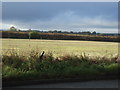 Farmland off the A937