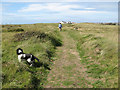 Wales coast path